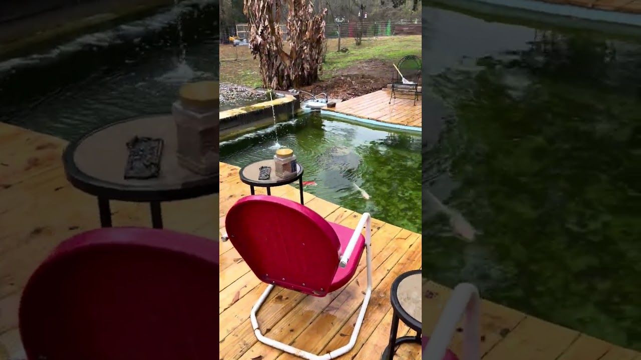 A beginning video of the farm 