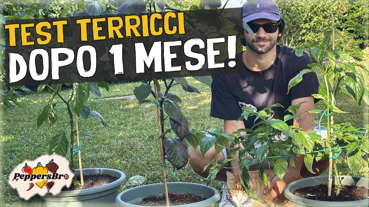 INCREDIBILE DOPO 1 MESE! Sfida dei 3 Terricci