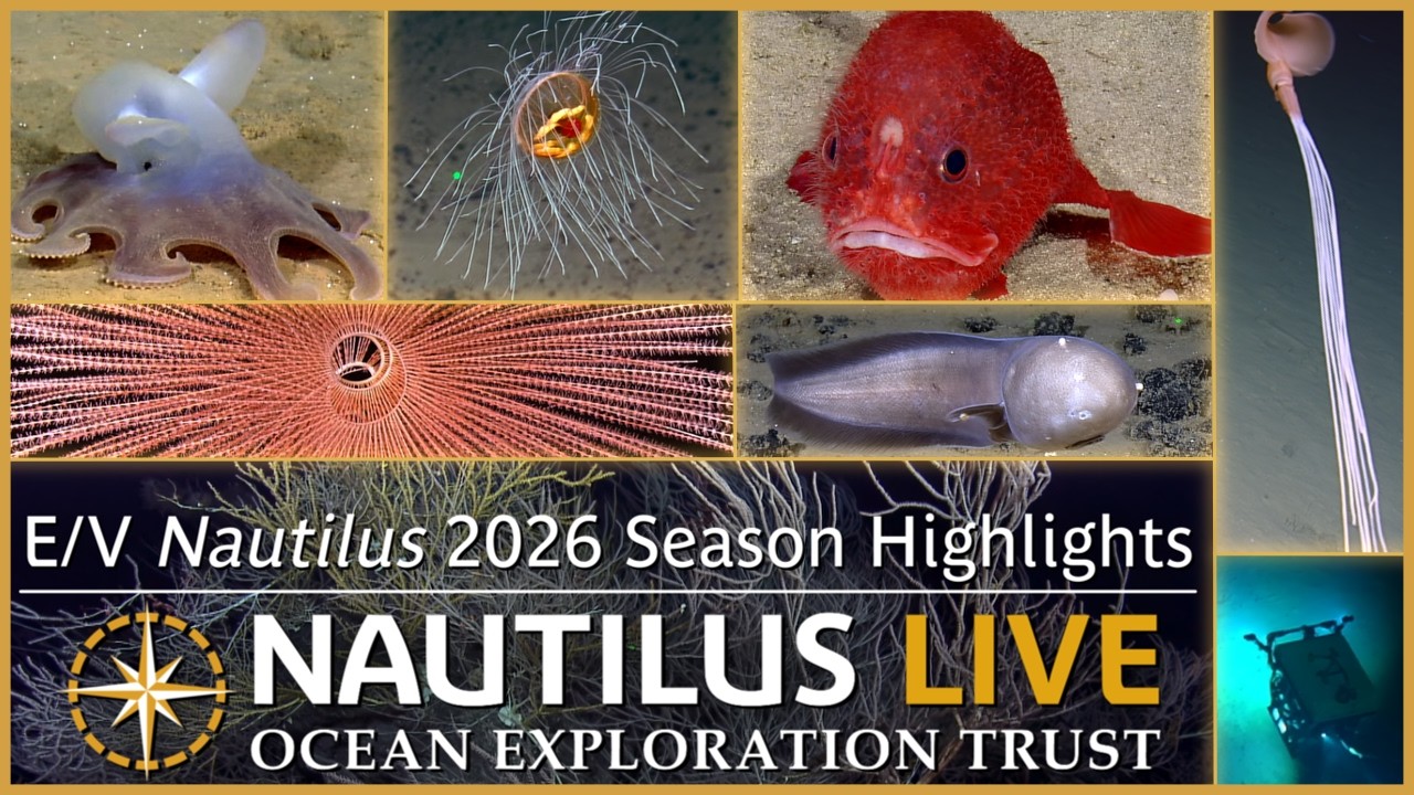Expedition Highlights from the E/V Nautilus 2026 Season | Nautilus Live