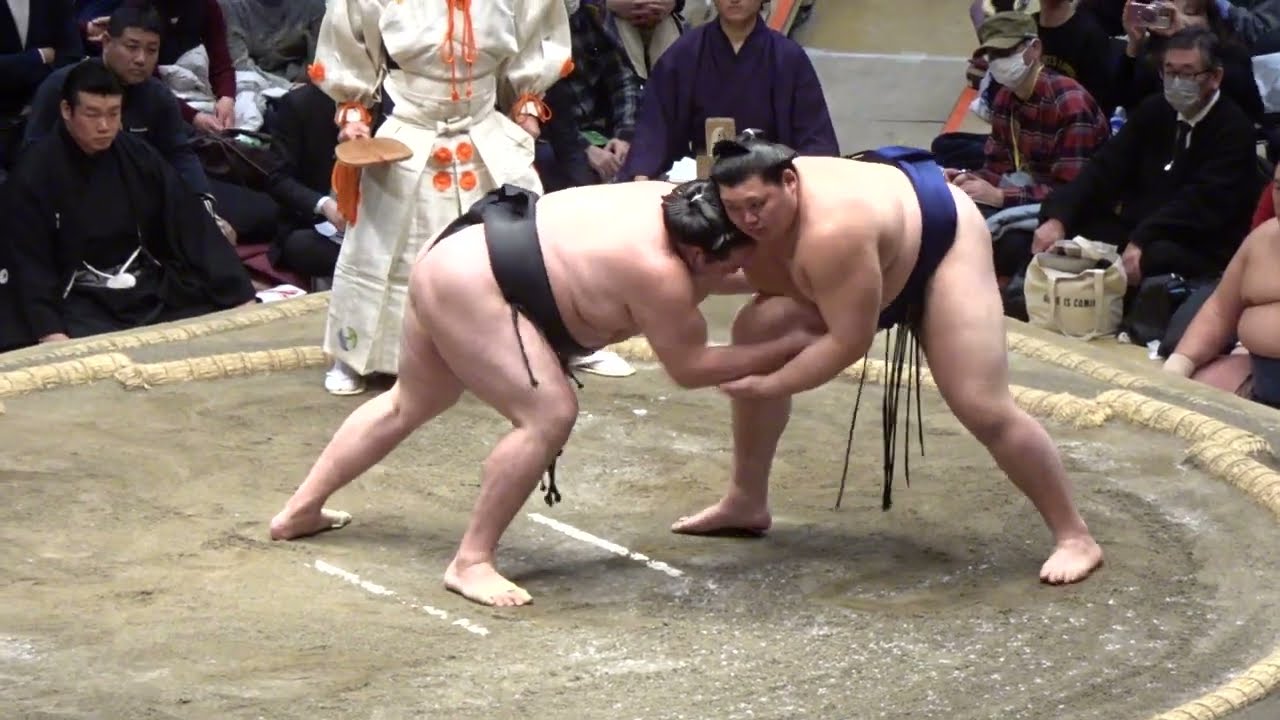 速報❗️【大相撲トーナメント】大の里vs竜電 3回戦 2026/02/08