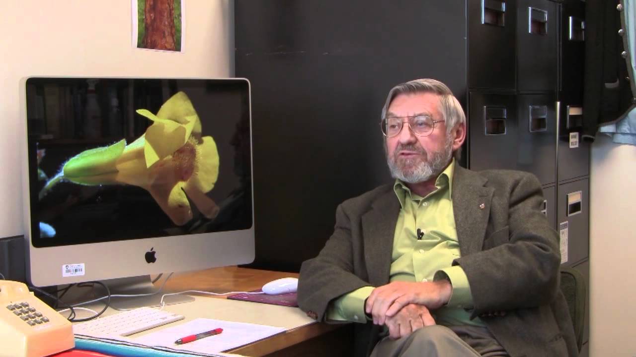 Holotype YouTube sharing