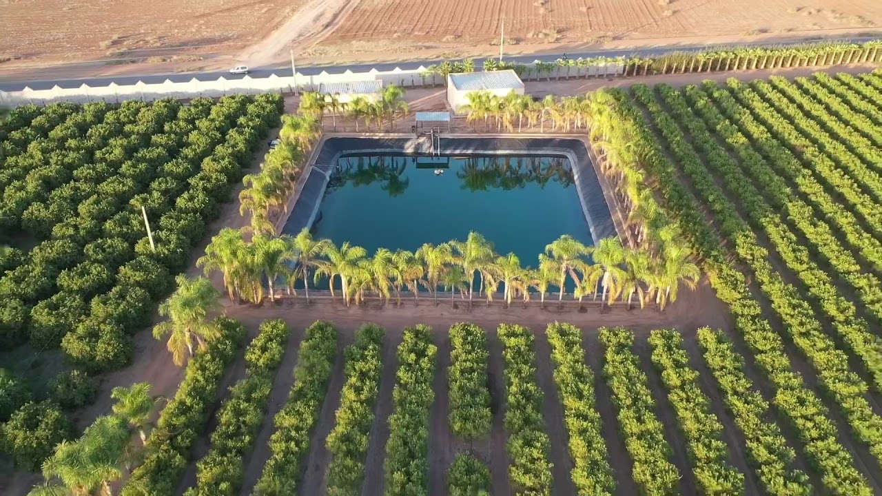 Green Views - Ferme Agricole