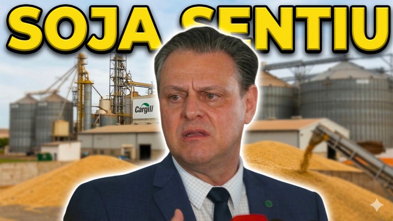 O Movimento da Cargill Que Mudou o Clima no Mercado da Soja Brasileira