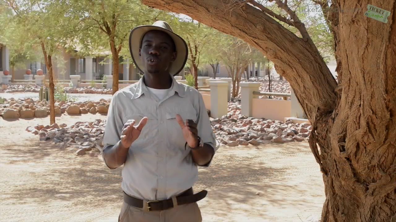 Utopia Africa - Wolwedans Collection, NamibRand Nature Reserve