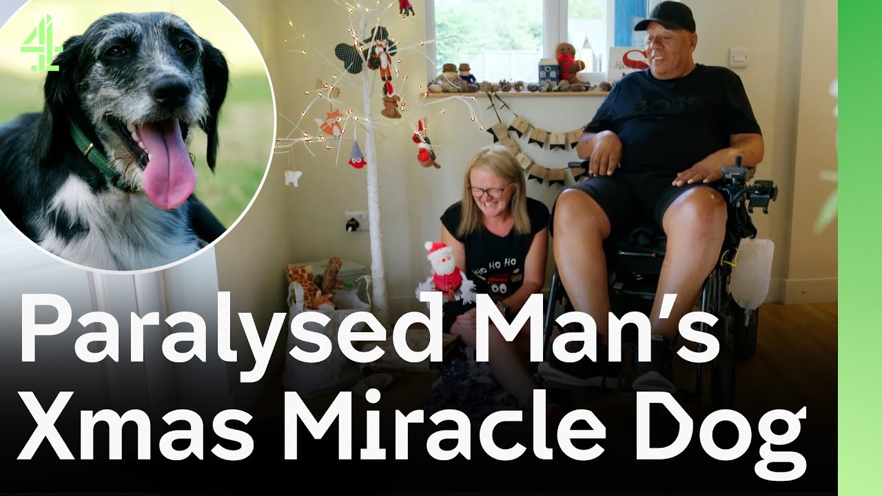 Abandoned Dog Changes Man's Life Becoming His Christmas Miracle | The Dog House 🐶