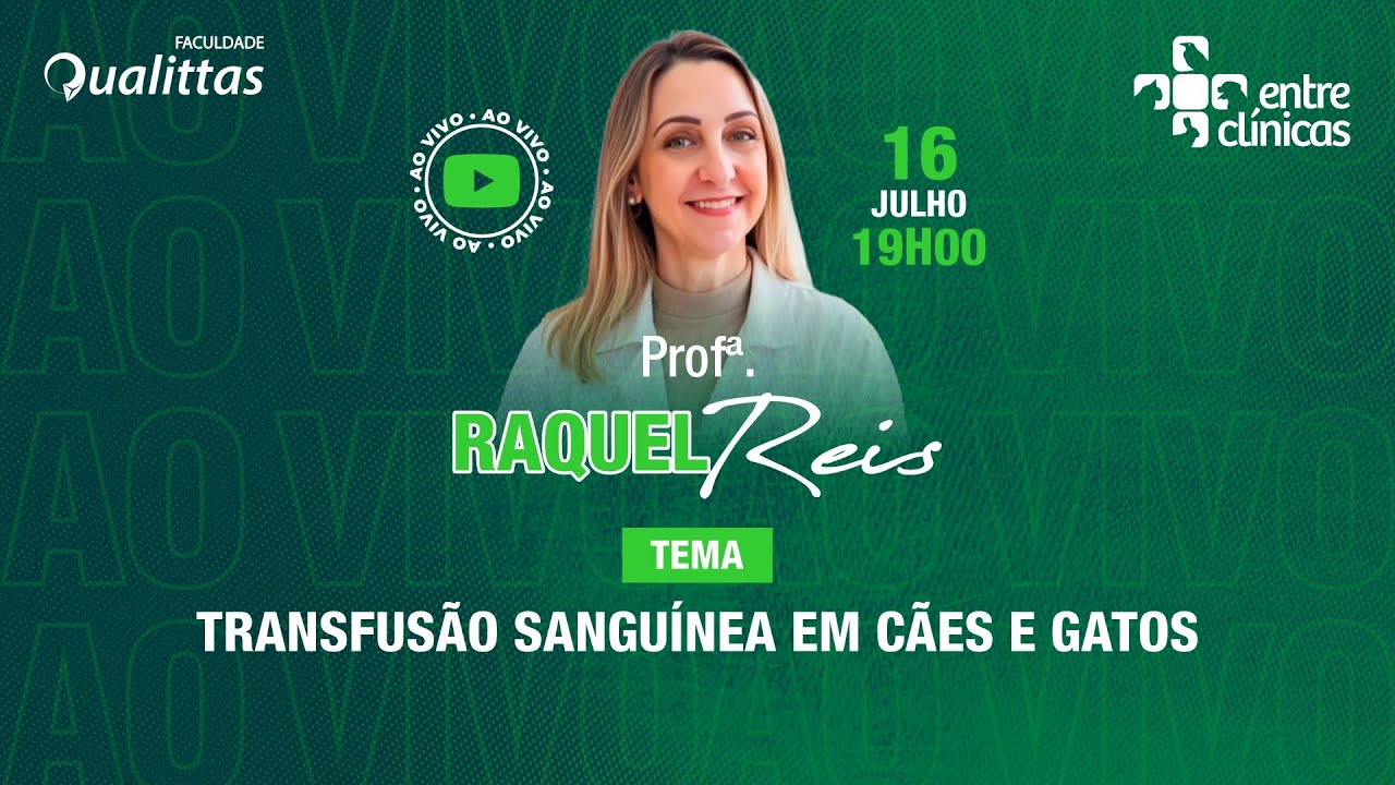 Transfusão sanguínea em cães e gatos