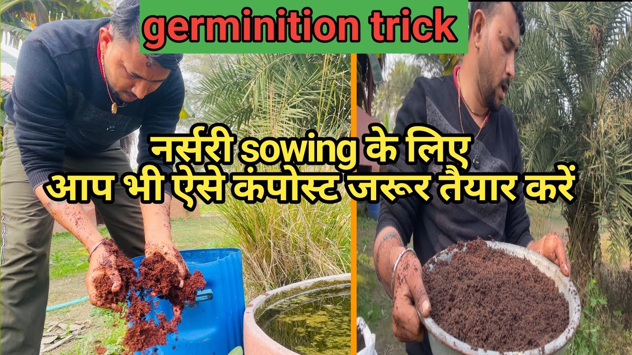 Summer seeds nursery sowing in February 2026..! #vlog #agriculture #farming #foryou #seedsowing 