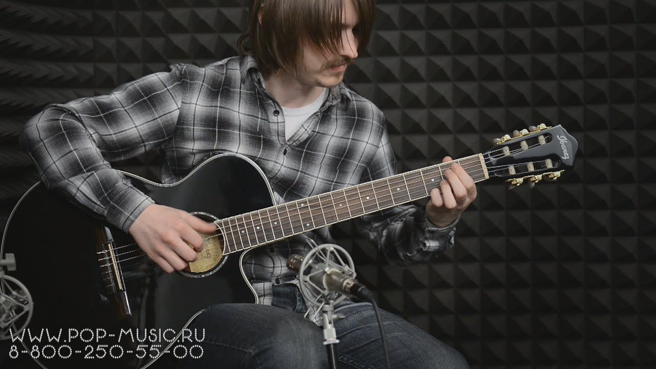 Электроакустика IBANEZ AEG10NII