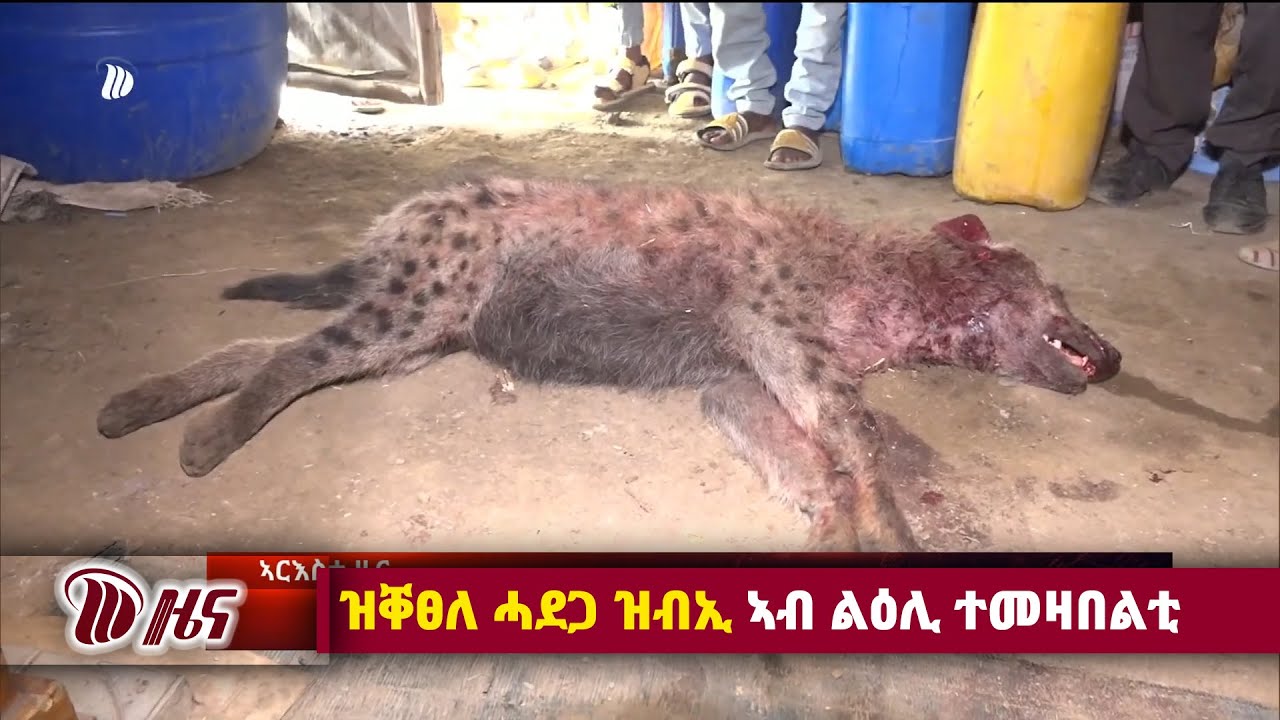 DW International ዜና መፅሄት ሰዓት 2:00 ፣ 08 ታሕሳስ 2018 ዓ/ም\watch Live Streaming