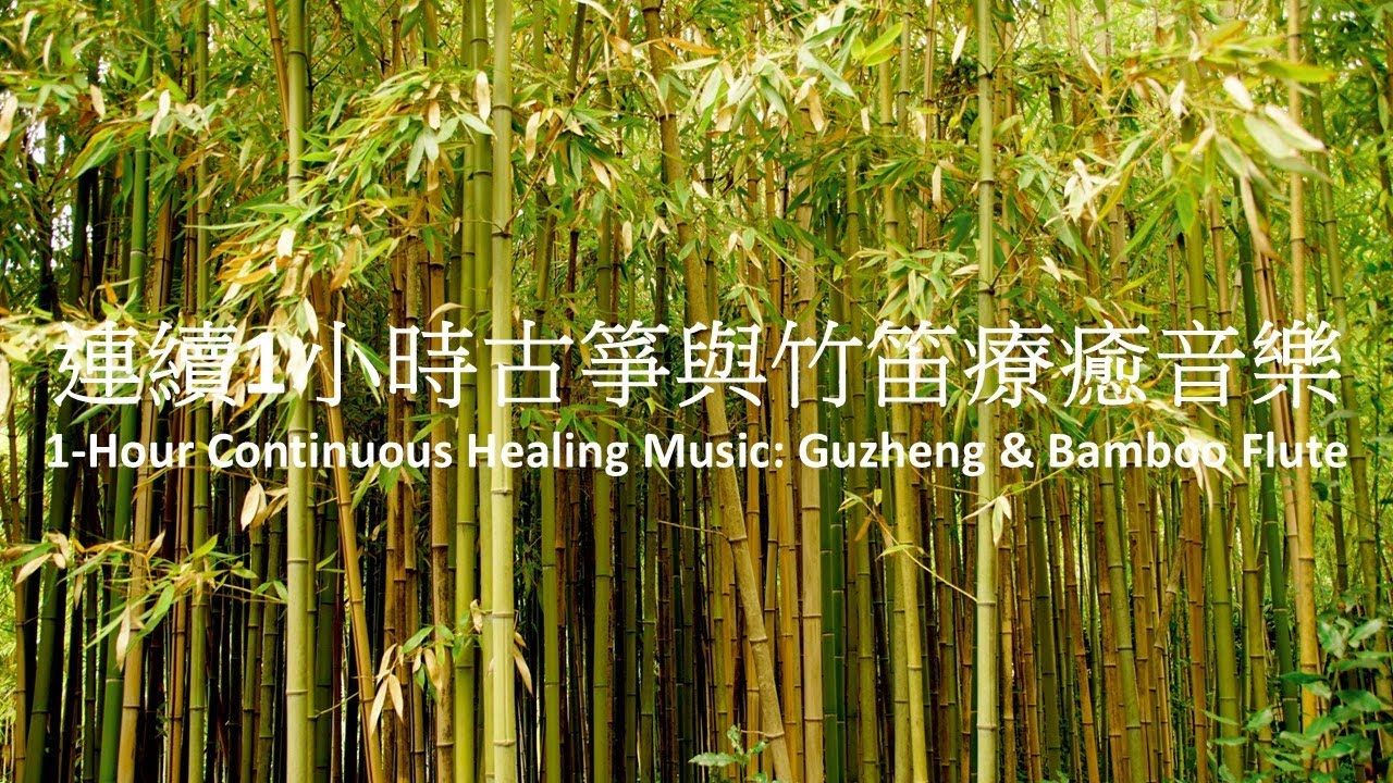魔浪音樂系列-[專輯:竹林聽風]-連續1小時古箏與竹笛音樂(製作:戴維楚)Morang Music -1 Hour Continuous Guzheng and Bamboo Flute Music