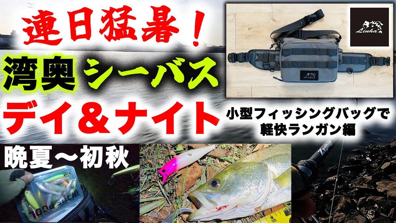 連日猛暑！湾奥デイ&ナイトシーバス！晩夏〜初秋 - リーニアTHE SNIPER小型フィッシングバッグで軽快ランガン編 - イナッコパターン