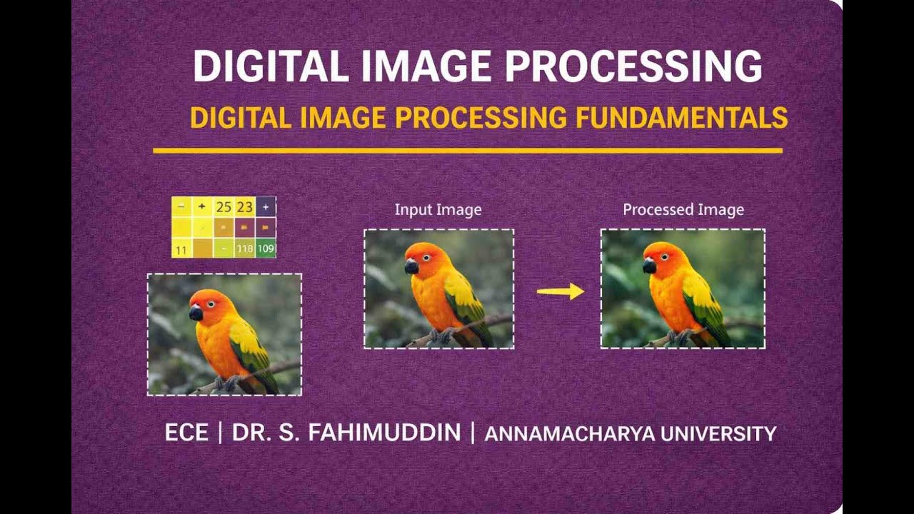 Digital Image Processing Fundamentals | DIP | ECE | Dr. S. Fahimuddin | Annamacharya University