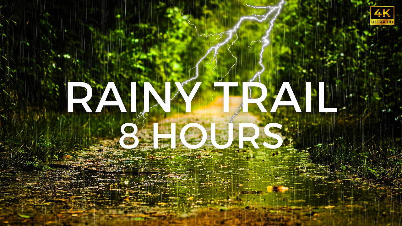Rainy Forest Path Ambience | Gentle Rain on Woodland Trail | 8 Hours 4K