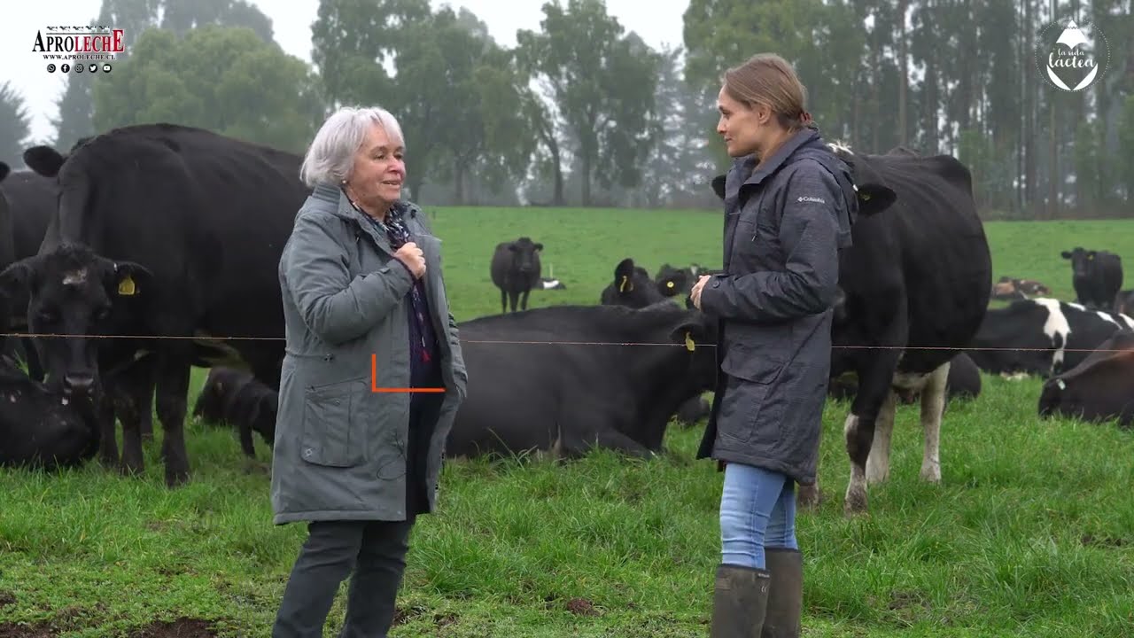 La Vida Láctea:  El desafío de ser productor de leche.