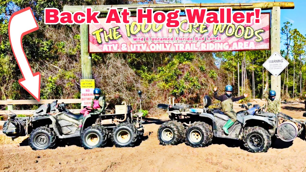 Hog Waller With Our CanAm 6x6’s! It Never Disappoints! 