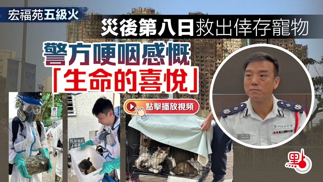 宏福苑五級火｜災後第八日救出倖存寵物  警方哽咽感慨「生命的喜悅」