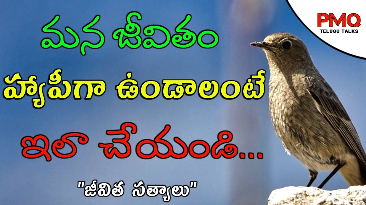 Jeevitha Satyalu#93|Manchi Matalu|Motivation Quotes|Inspiration Quote|Success Quote|PMQ Telugu Talks