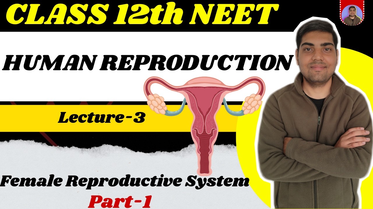 Human Reproduction | Class 12 | Lecture 3 | Male Accessary Glands , Female Reproductive System NEET