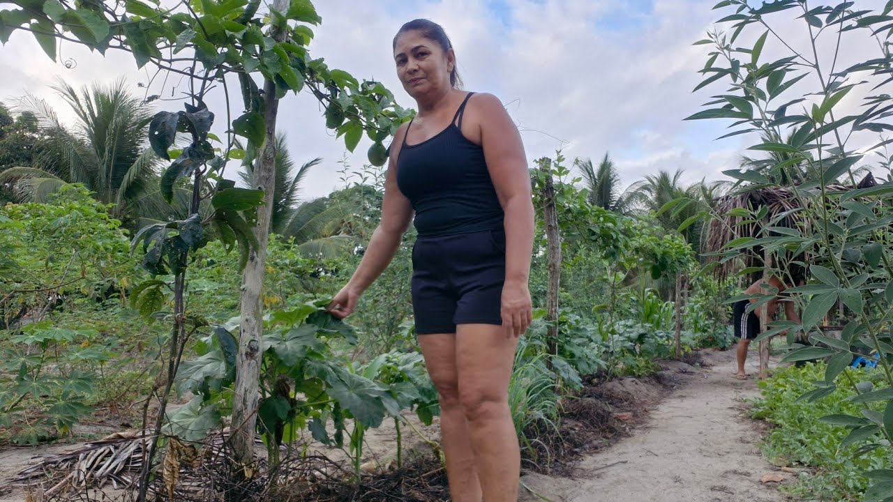 Mostrando minha Roça e o que temos plantado por aqui 