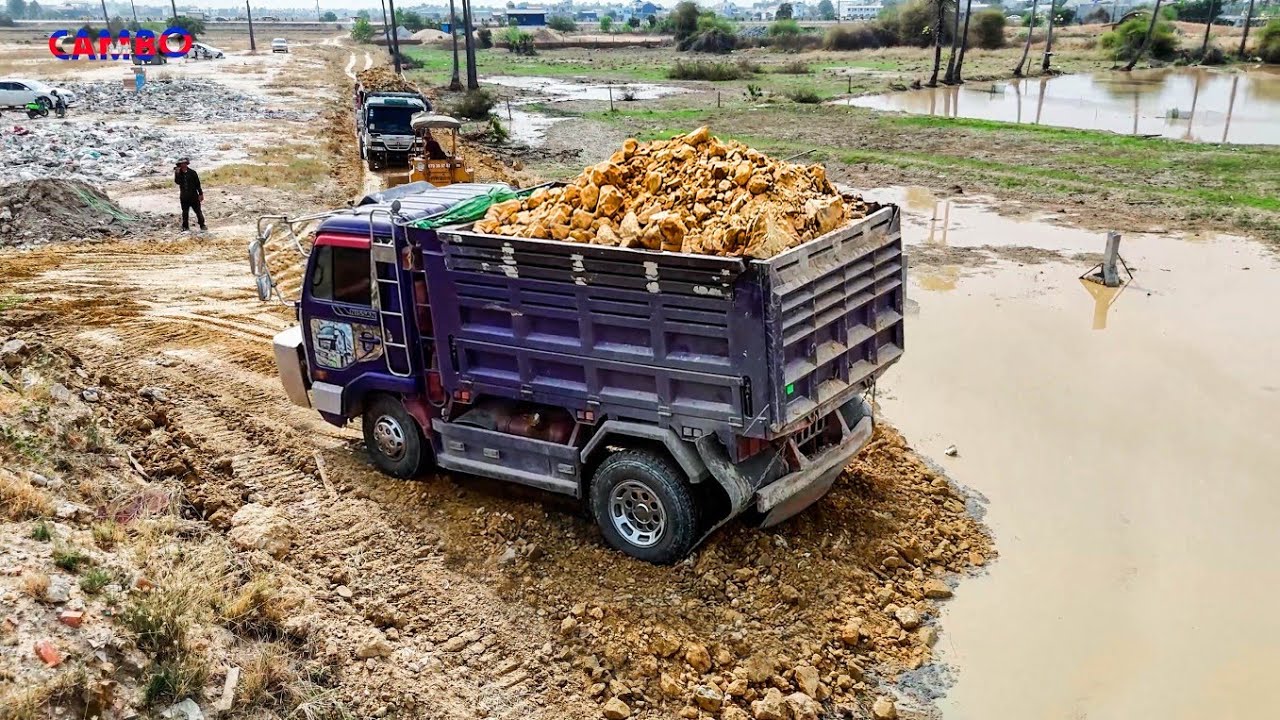 Incredible Landfill Start Project By Expert Driver BullDozer Pushing SoilRock & 5T Trucks unloading 
