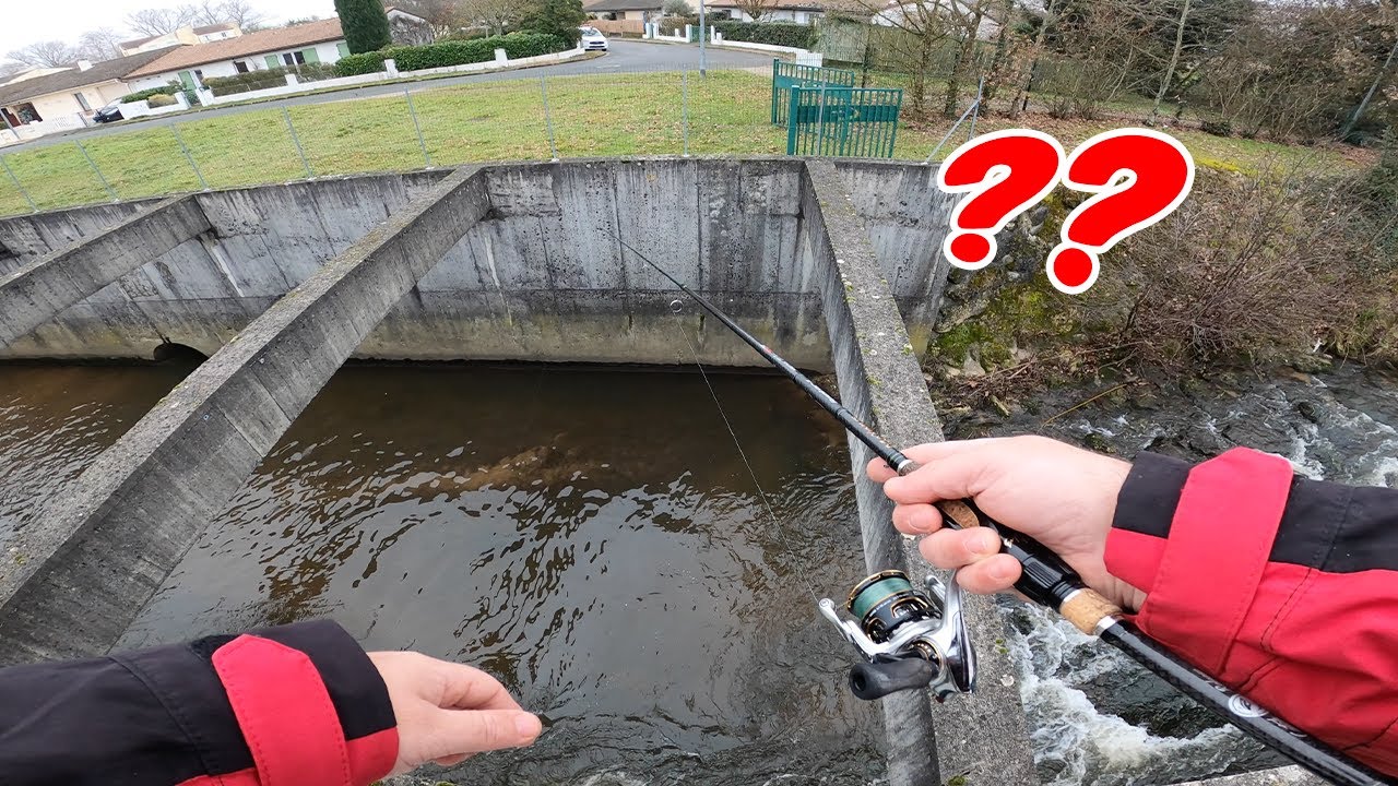 Une NOUVELLE ESPECE dans cet ENDROIT INSOLITE? Ma MEILLEURE VIDÉO PÊCHE aux VERS !!! (StreetFishing)