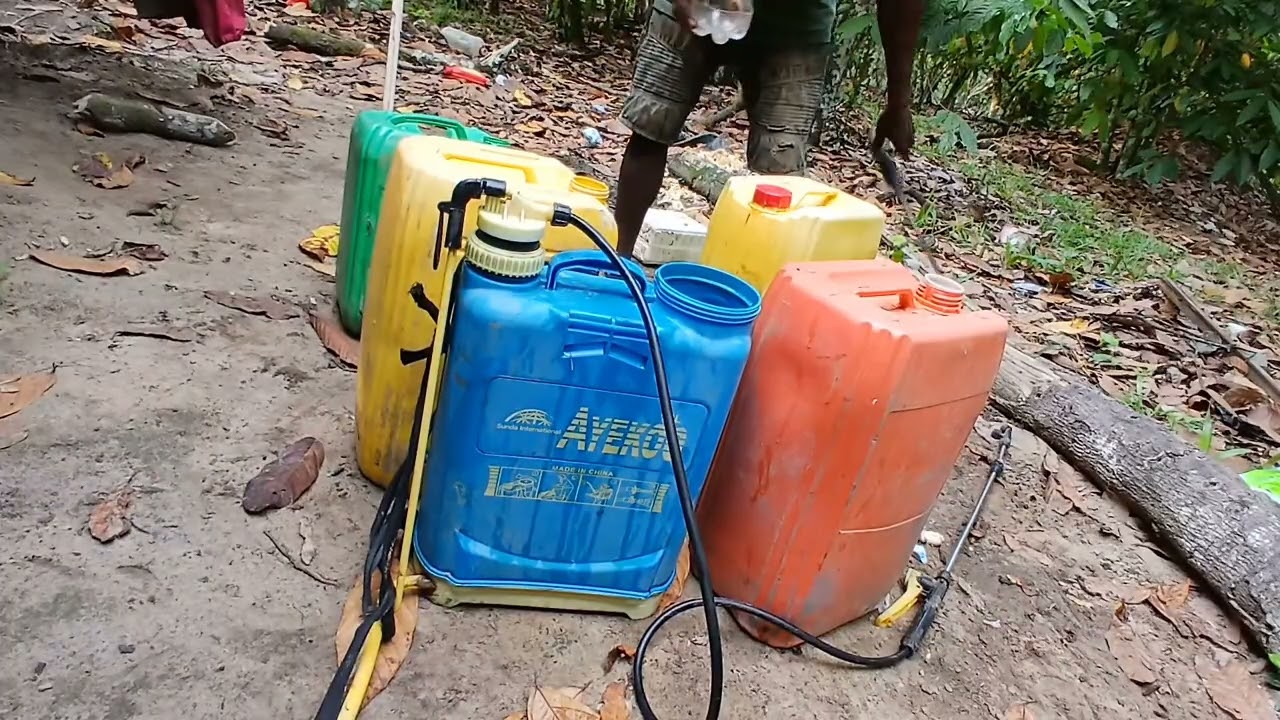 Real Africa Farm Life: Protecting the Plantation with my Manual Sprayer (No Speaking)