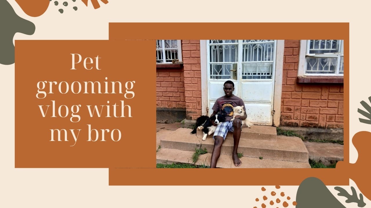 Spend the day with us as my bro grooms our pets