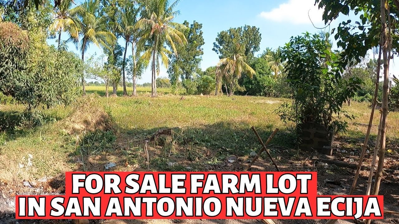 [#96] FARM LOT FOR SALE IN SAN ANTONIO NUEVA ECIJA