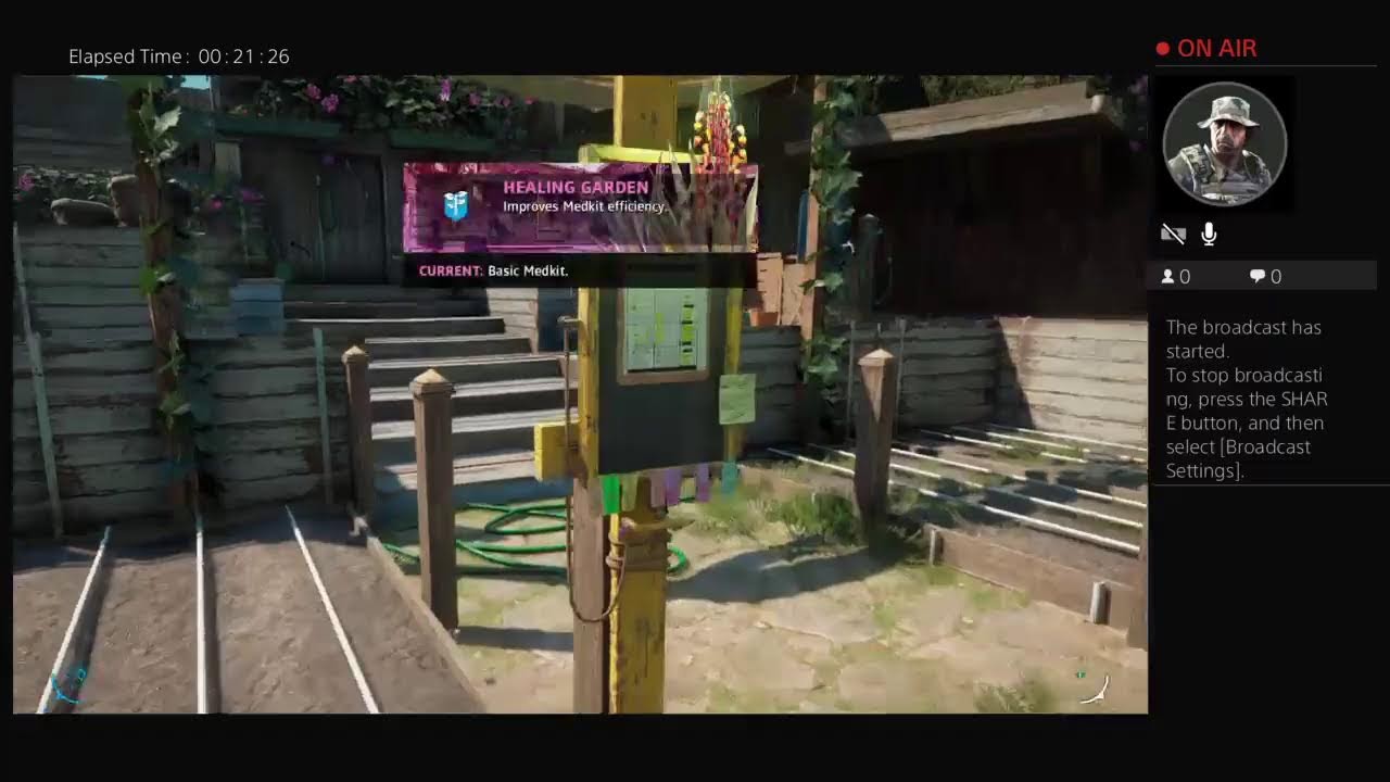 Far cry series