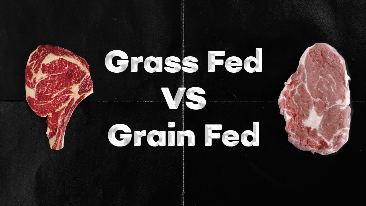 Grass Fed VS Grain Fed Meat