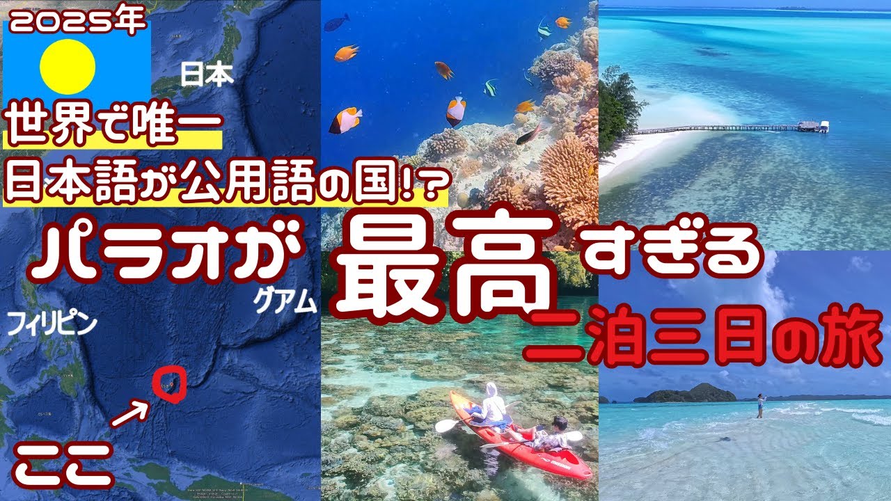 【2025年最新】パラオの海が最高な二泊三日　2025.02.24 -Palau's beautiful sea-