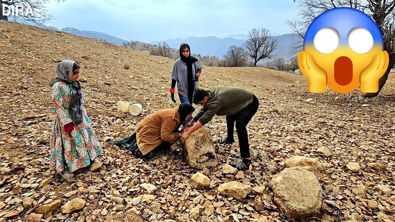 The Amazing DIRA Family on the Farm: From Fire to Tractor—The Day They Brought the Land Back to Life