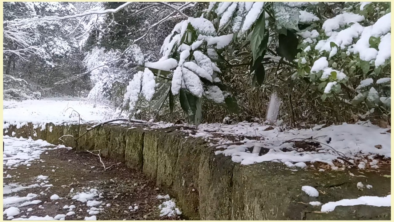 Windy Snowy Park in Japan | Strong Winter Wind & Passing Train | 19 Min