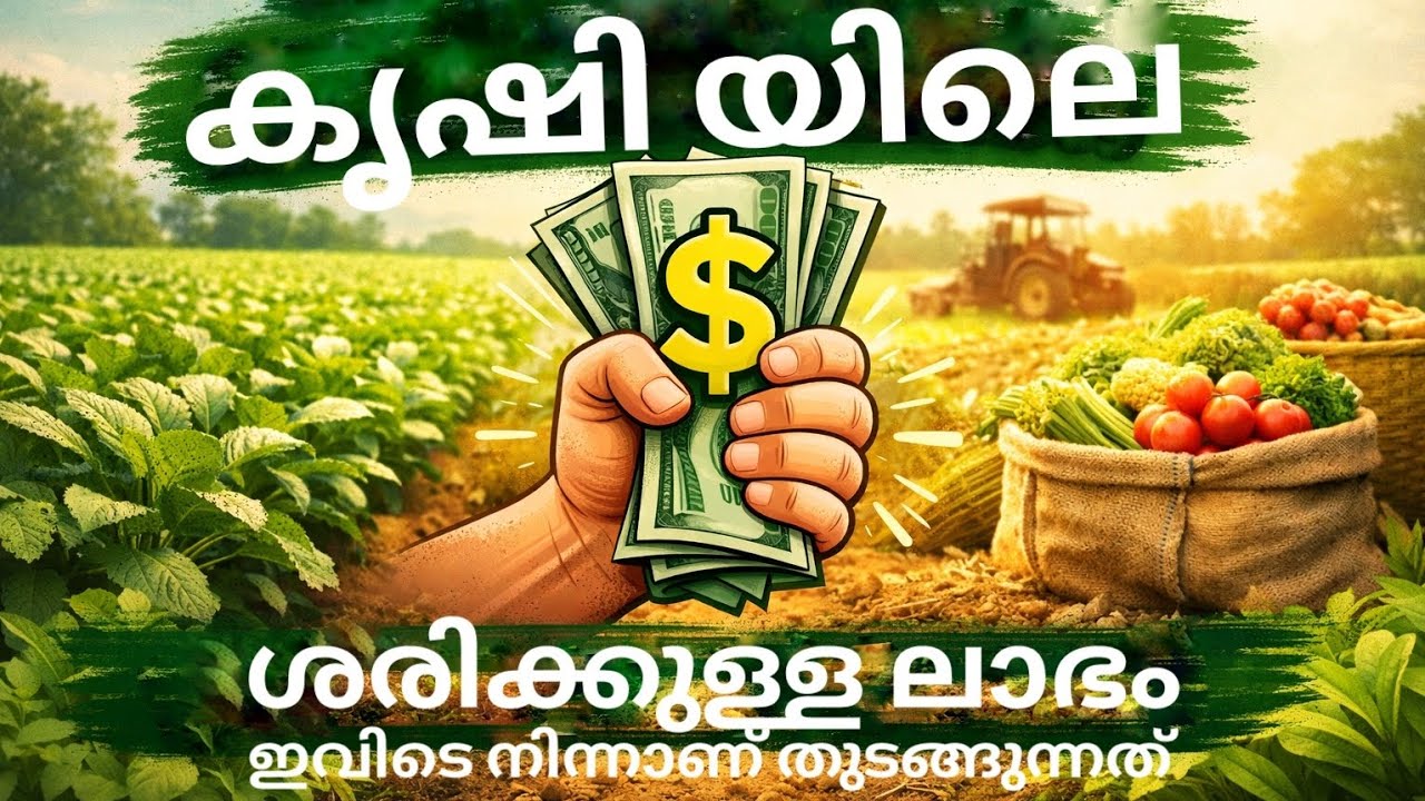 കൃഷി യിലെ എഥാർത്ഥ ലാഭം തുടങ്ങുന്നത് ഇവിടെ നിന്നാണ്....