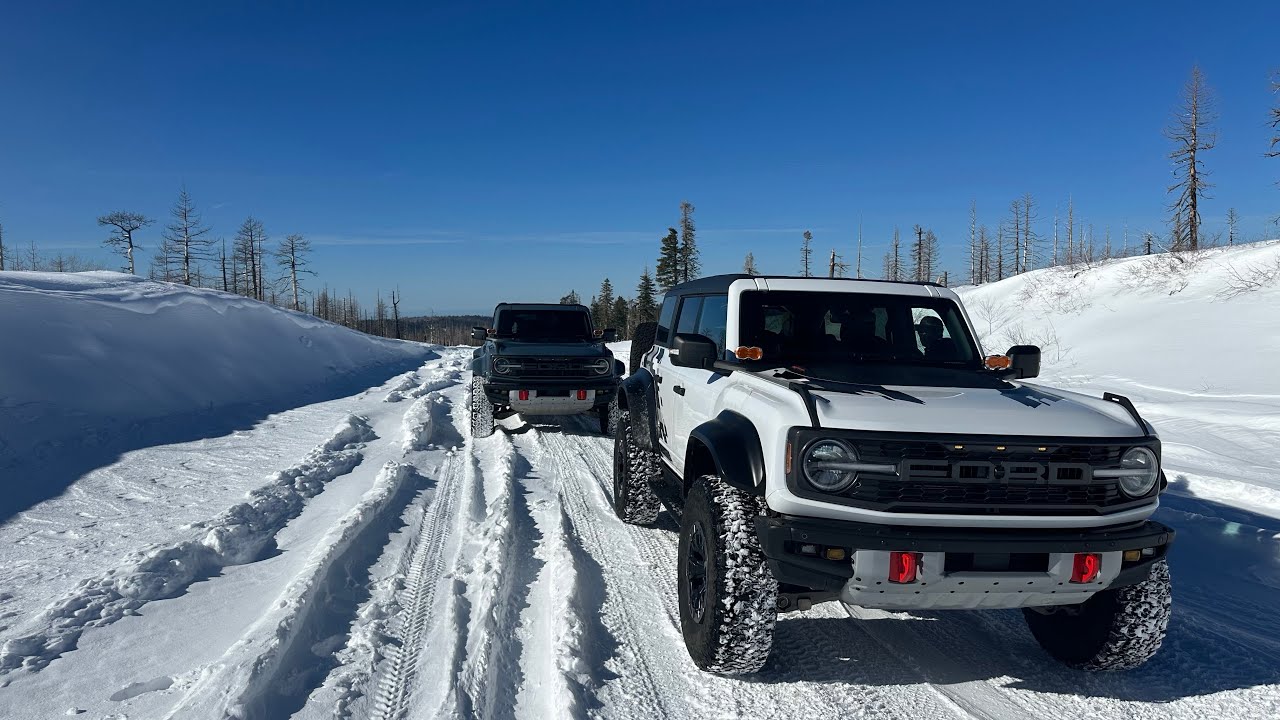 Bronco Raptors on Mormon Emigrant Trail Jan 2026