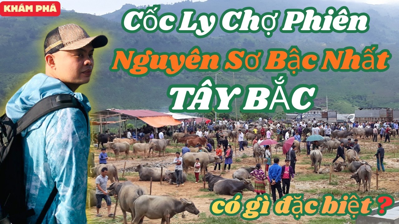 Cốc Ly Chợ Phiên Nguyên Sơ Bậc Nhất Tây Bắc Có Gì Đặc Biệt ?