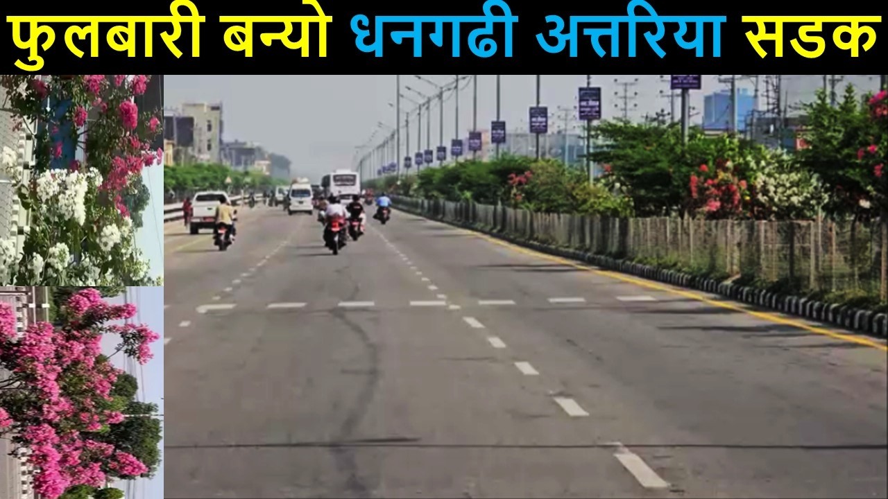 Beautiful Dhangadhi Attariya Six Lane Road | Greenery in Dhangadhi Mainroad | Attariya to Dhangadhi