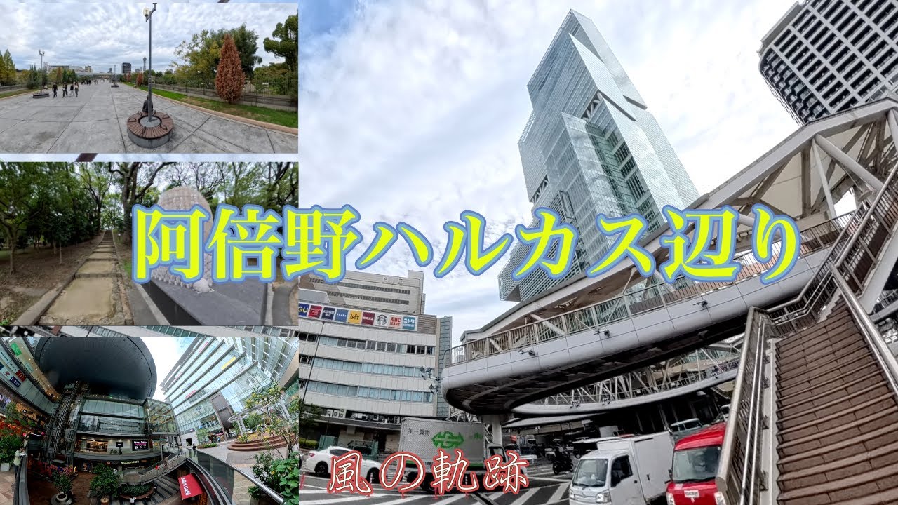 [え〜〜登らなかったの〜！！]　大阪市阿倍野区　阿倍野ハルカス周辺に