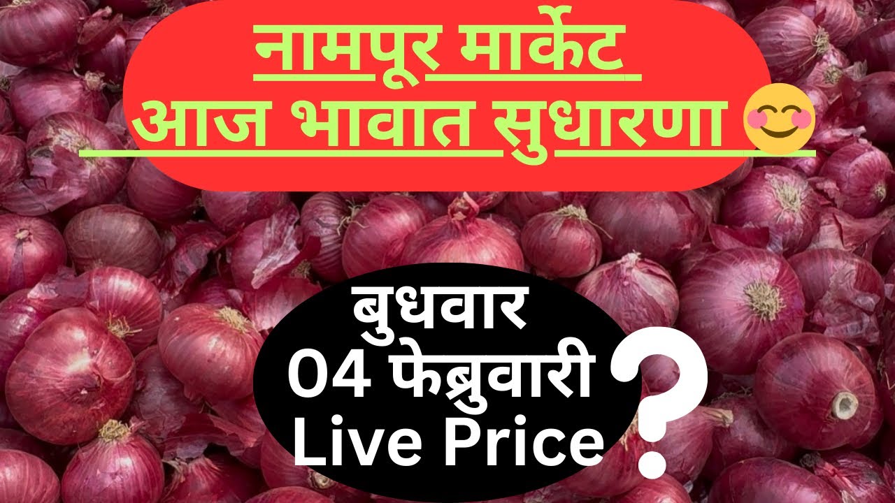 Nampur Red Onion Price Today/04 February Nashik Onion Prices And Mandi Insights