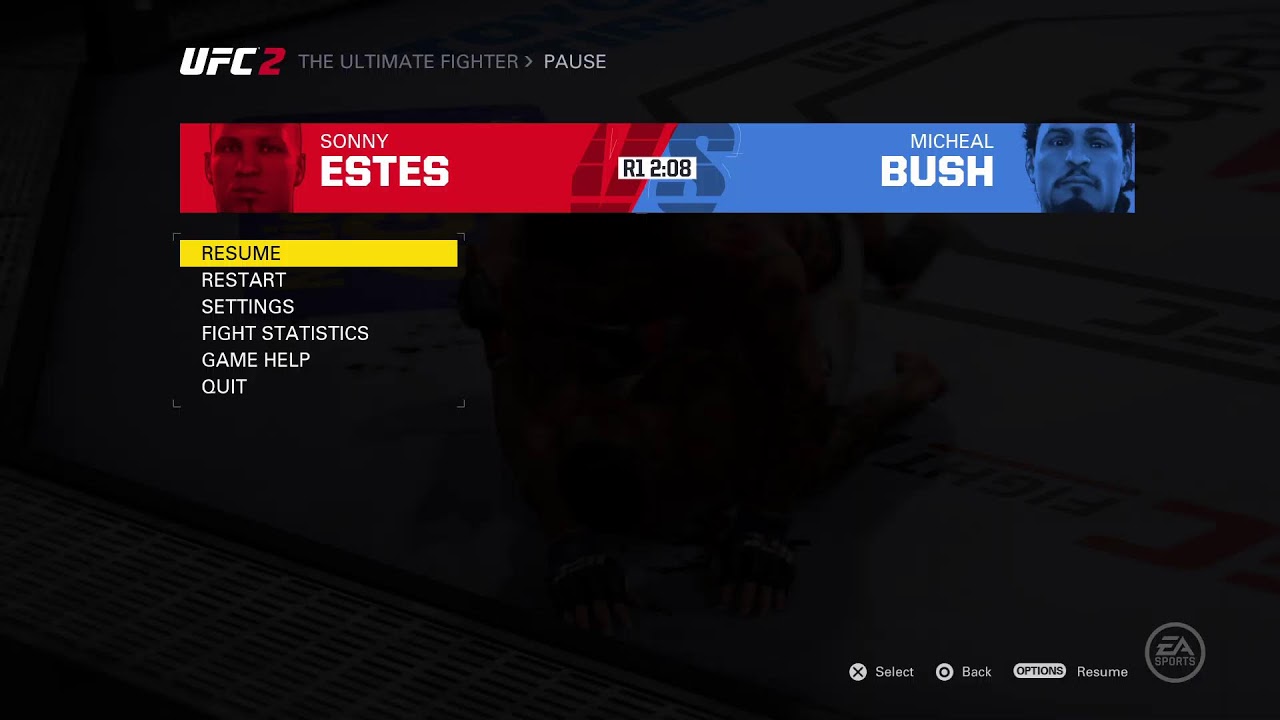 UFC SIMULATION