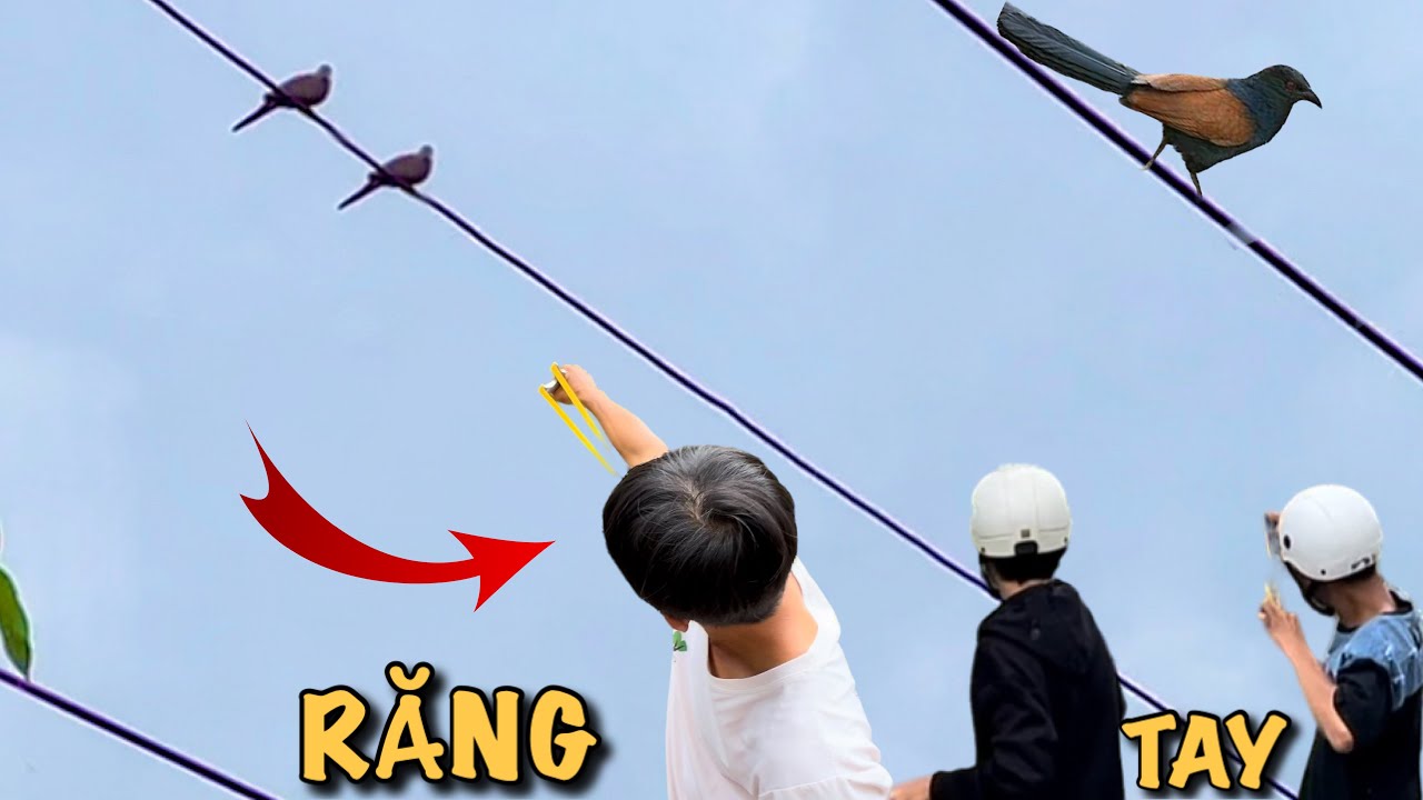 Bất Ngờ Gặp Được Cao Thủ Bắn Ná Bằng Răng |ATK