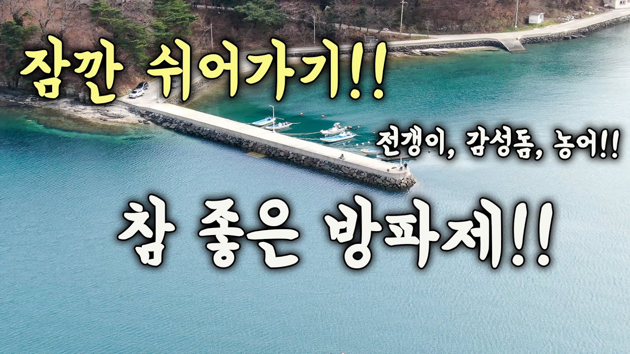 [다리tv]  지금 시기 짬낚으로 손맛 보기 좋은 방파제!!!