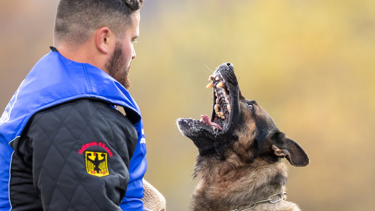 2019 GSD National Championship
