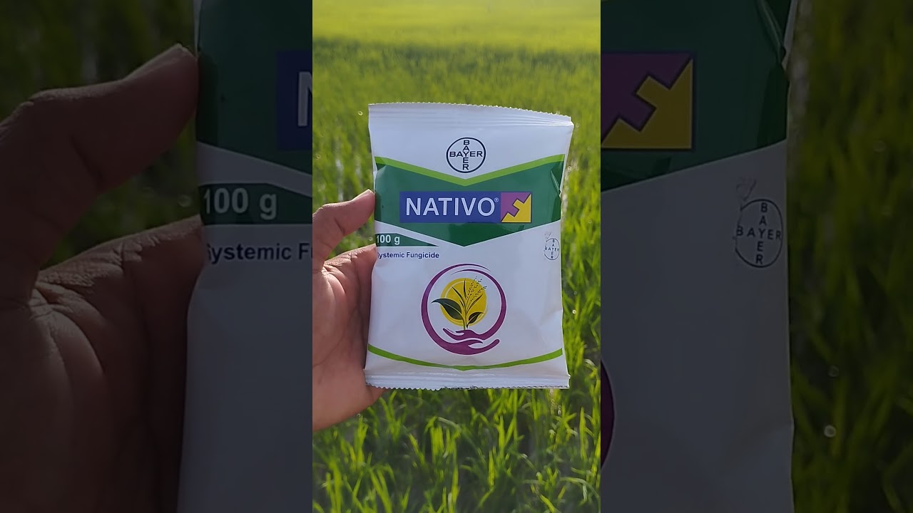 #bayer #nativo