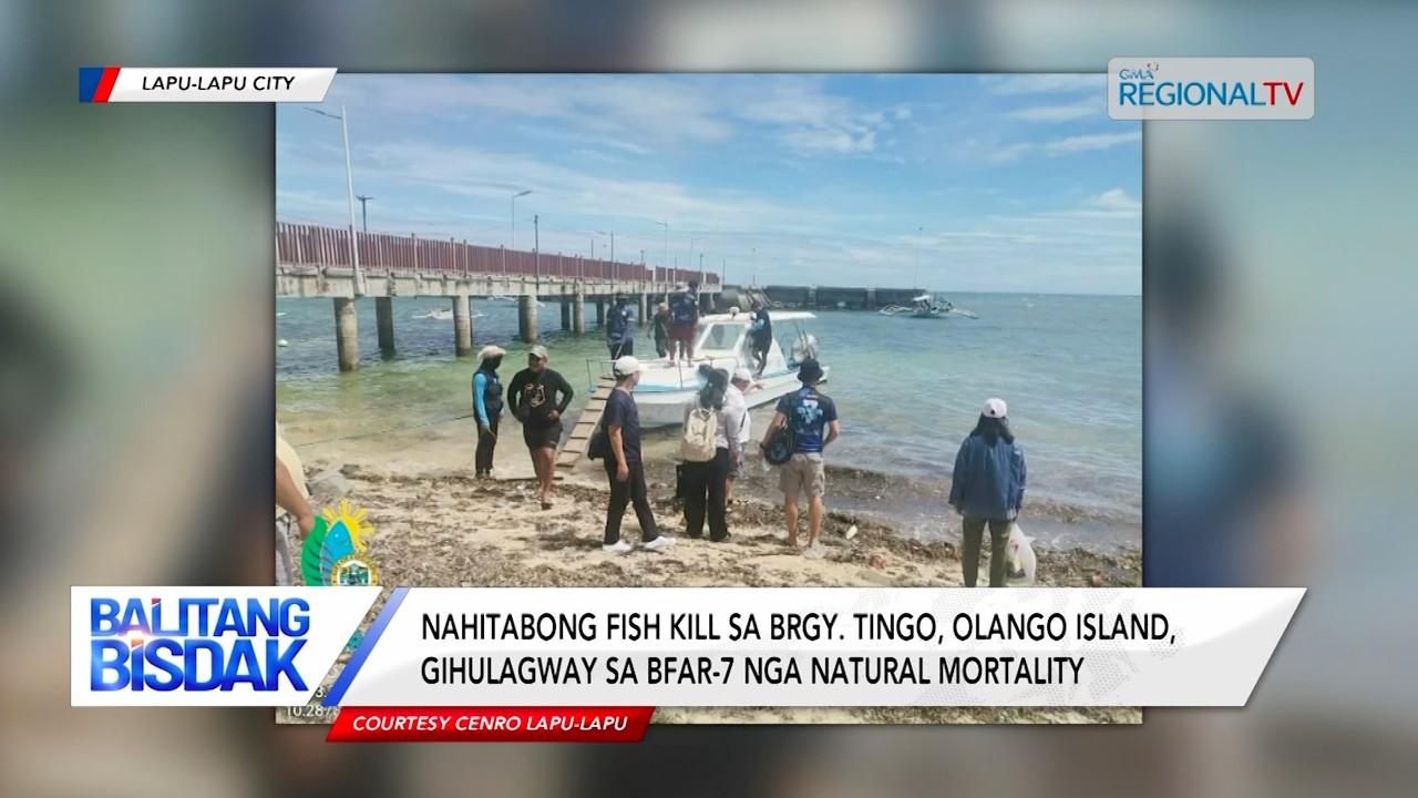 Nahitabong Fish Kill sa Brgy. Tingo, Gihulagway nga Natural Mortality | Balitang Bisdak