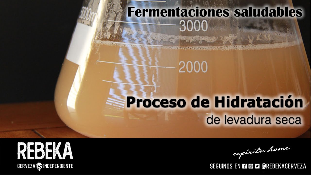 Hidratación de levadura seca para una fermentación saludable