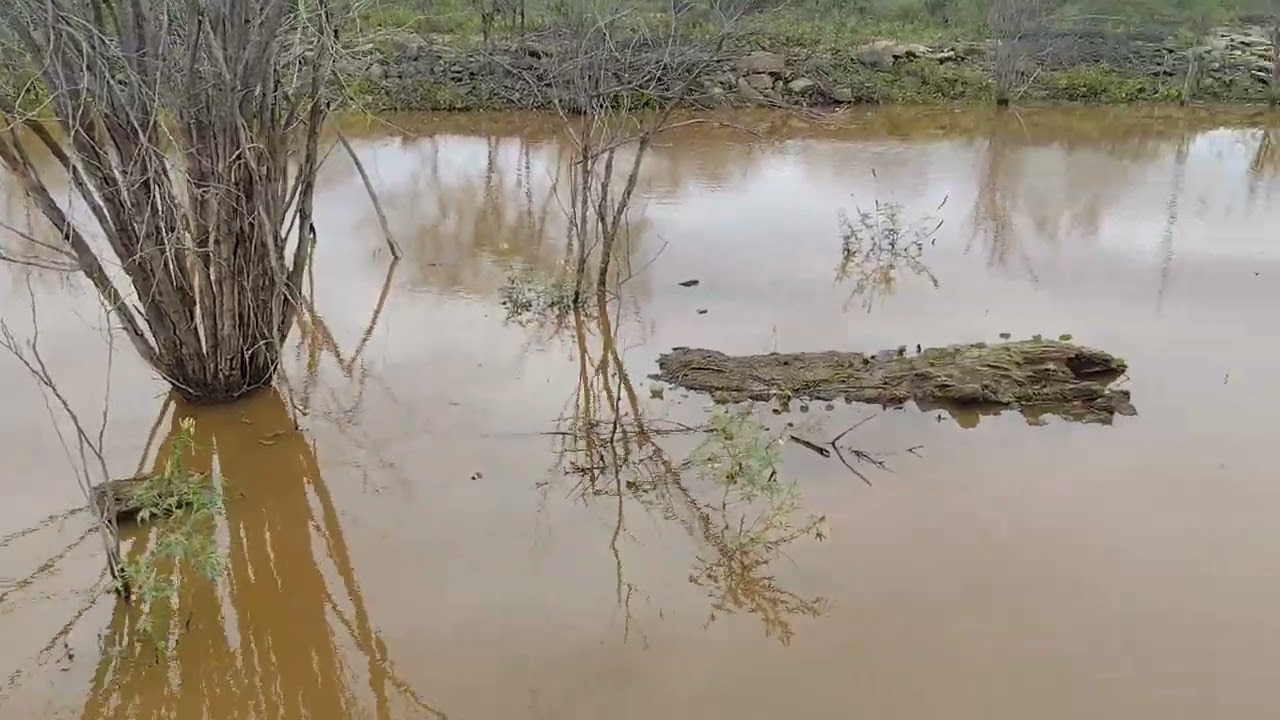 Açude de Cacimba da Várzea PB 7/2/2026 