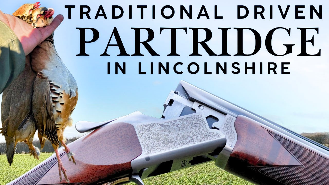 BACK TO MY ROOTS! DRIVEN PARTRIDGE SHOOTING IN LINCOLNSHIRE WITH HARRY WRAY FIELDSPORTS 🇬🇧