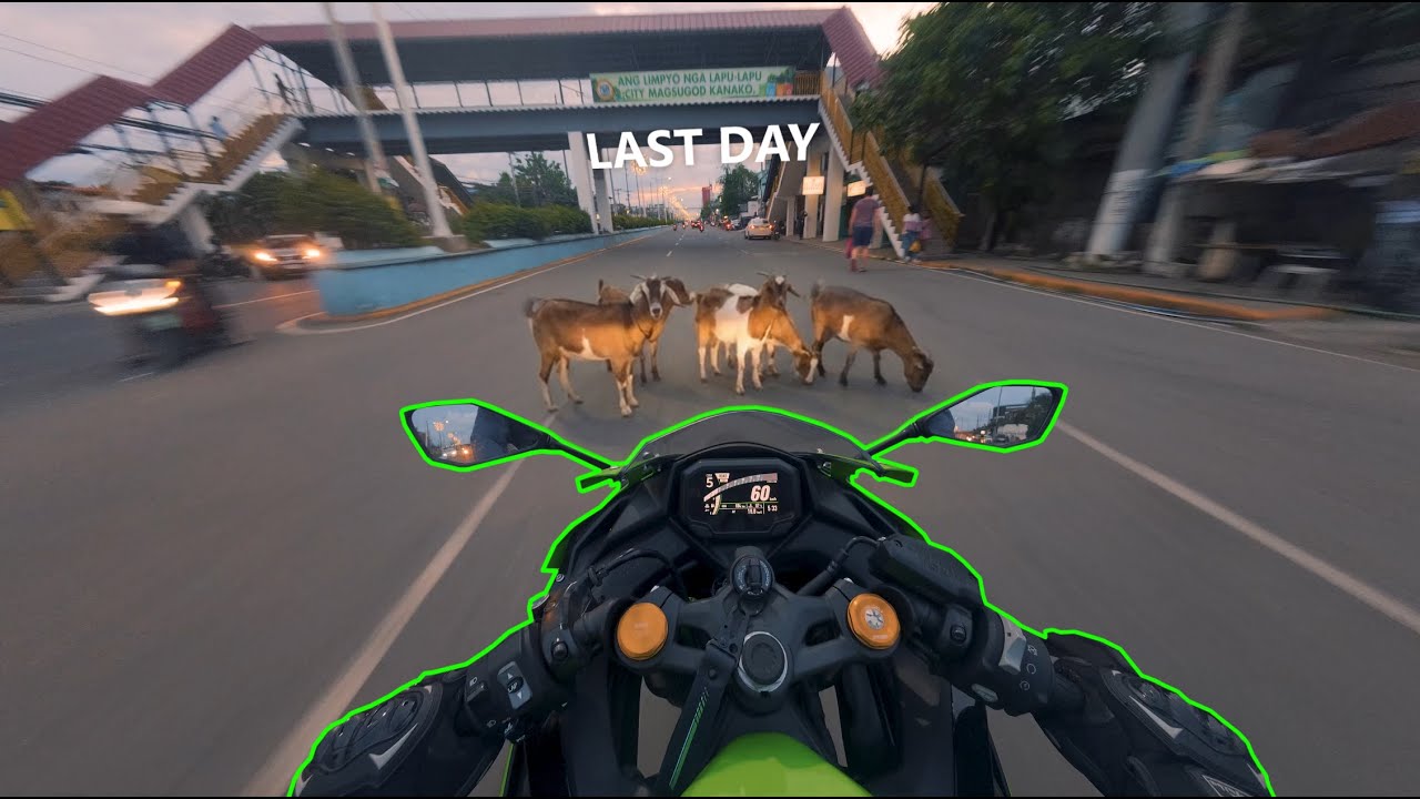 Kawasaki ZX4RR | Last Ride before 2026 | CEBU