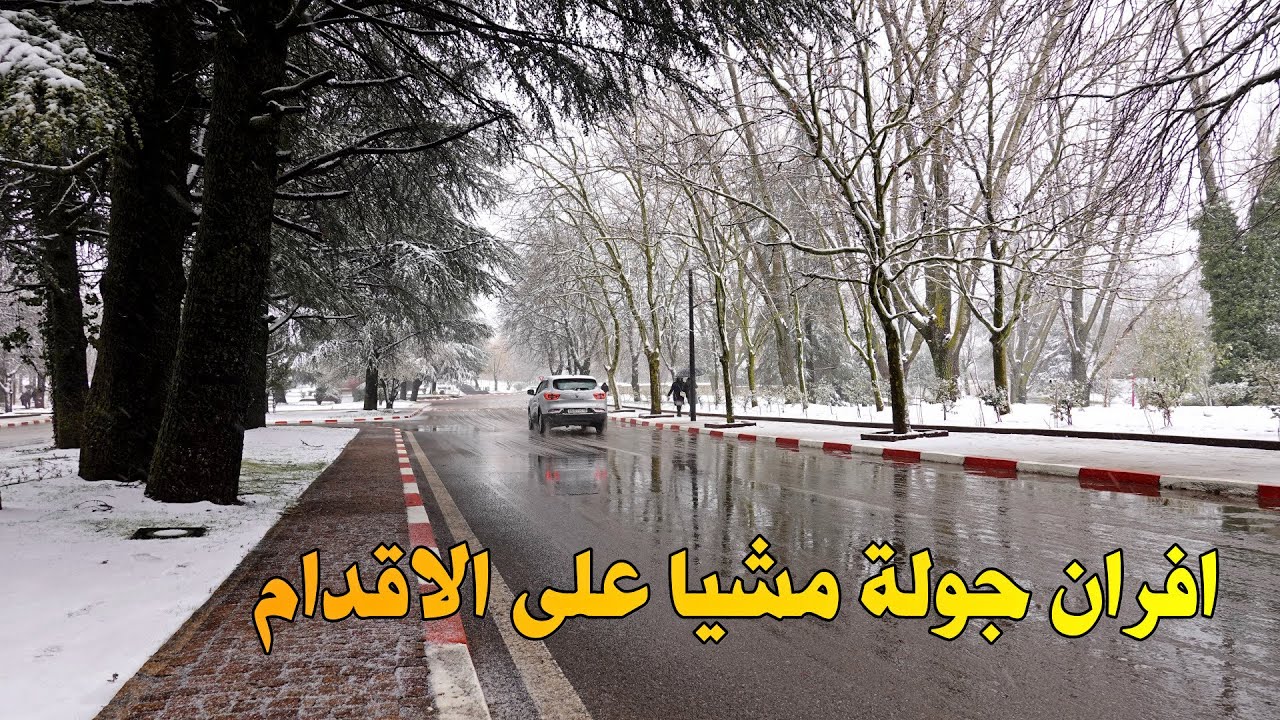 مدينة افران جولة سيرا على الاقدام وسط الثلوج Ifran Morocco Walking Tour